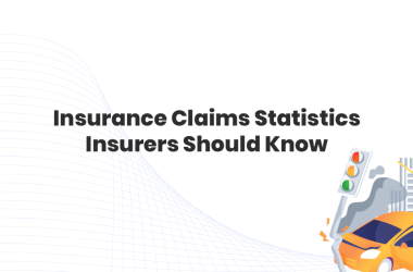 Insurance claims statistics every Insurer should know